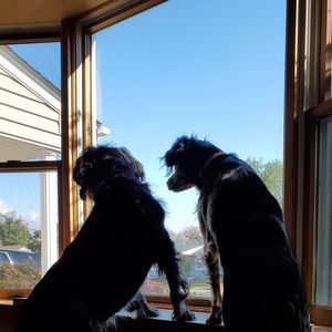 Meet your Posher, Sherri